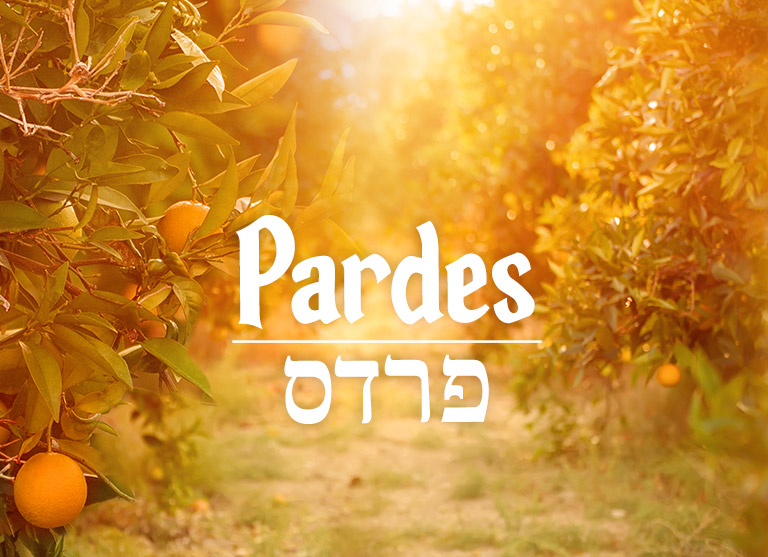 This image has an empty alt attribute; its file name is pardes-hebrew-yellow-1.jpg